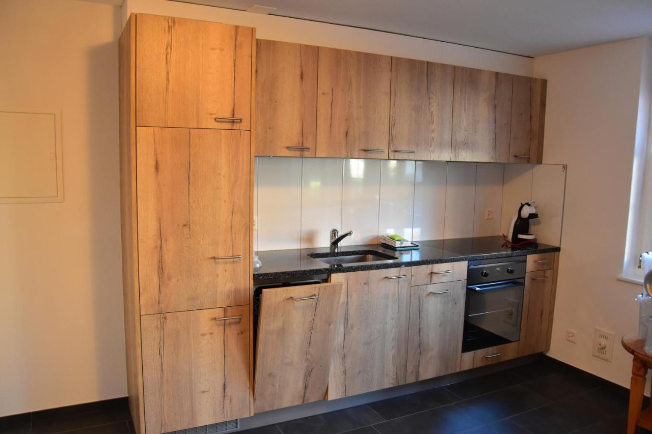 Chemihuettli Apartments Axalp Esterno foto