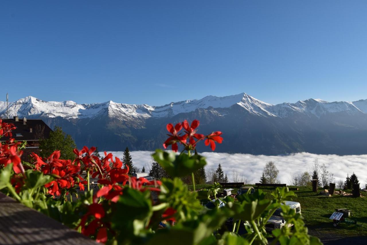 Chemihuettli Apartments Axalp Esterno foto